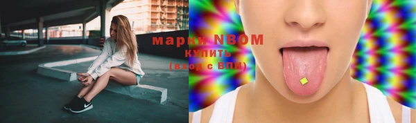 Альфа ПВП Белокуриха