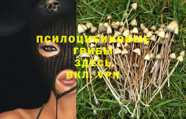 Альфа ПВП Белокуриха