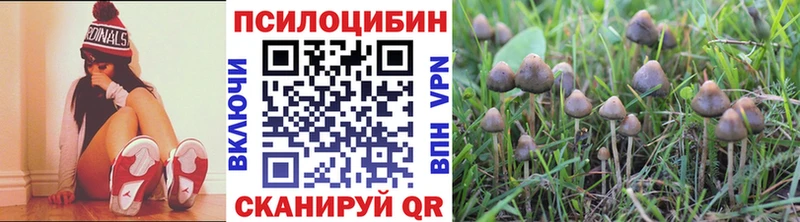 МЕГА ТОР  где купить наркотик  Соль-Илецк  Галлюциногенные грибы Magic Shrooms 