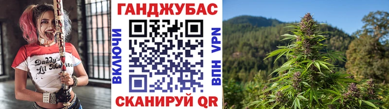 Шишки марихуана семена  Соль-Илецк 